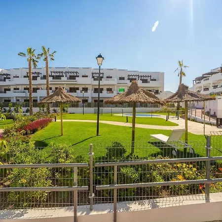 Palmera * San Juan de los Terreros