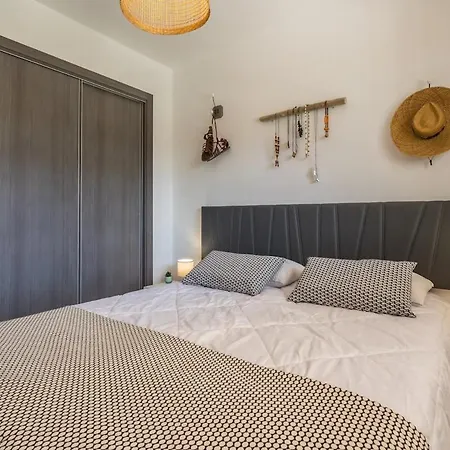 Palmera