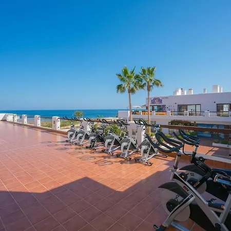 Palmera * San Juan de los Terreros